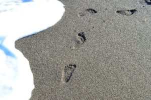 Нижегородцам назвали топ-20 лучших пляжей России